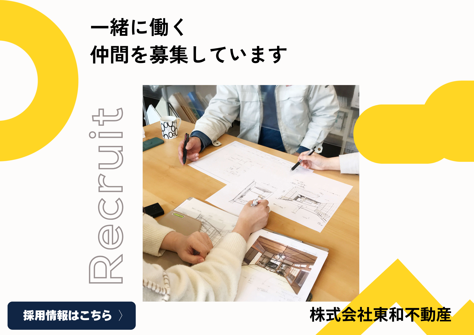 採用情報